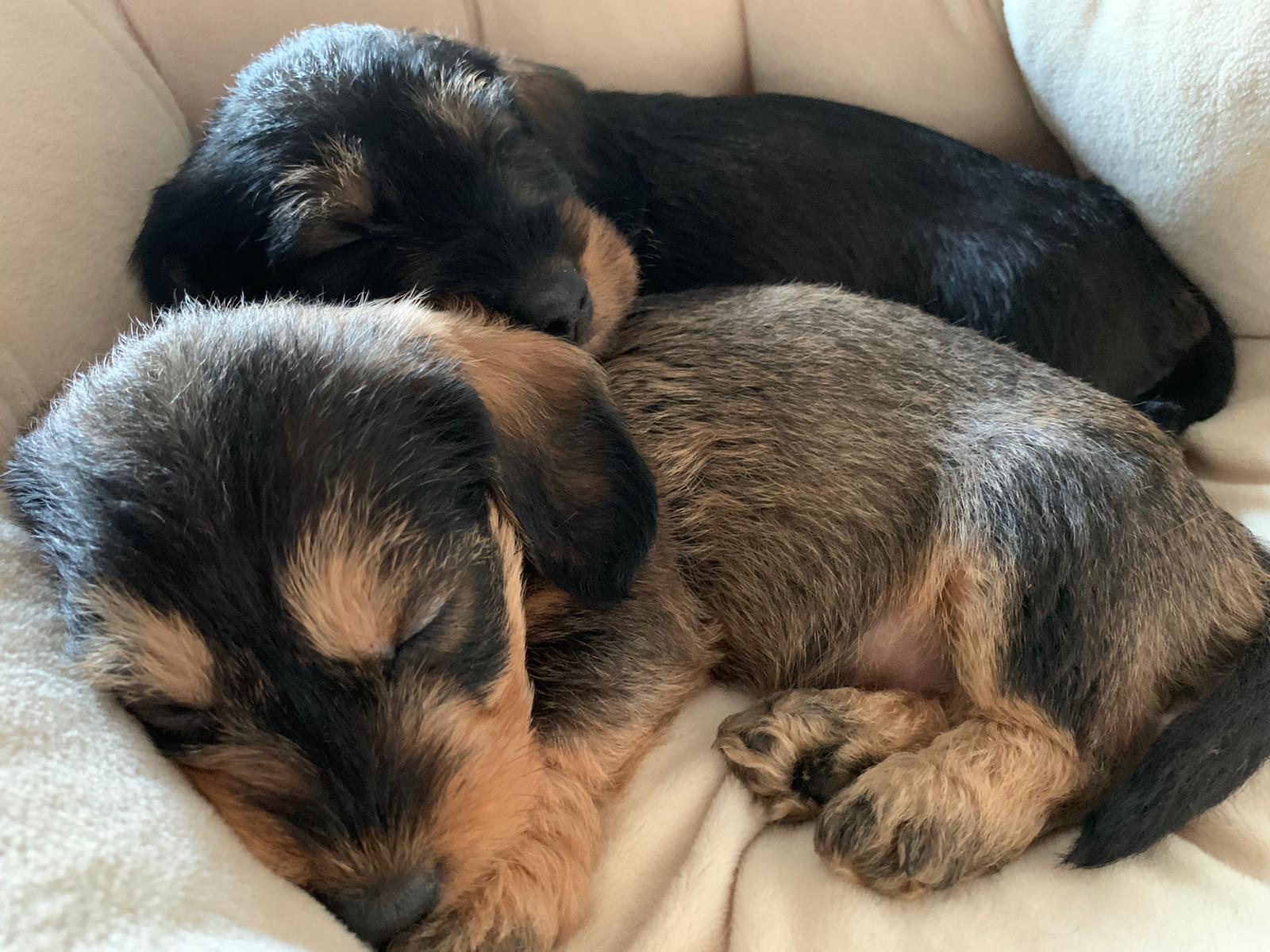 Privélessen aan huis